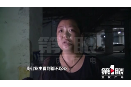 订单（催收公司）已还：揭秘催收行业的新趋势